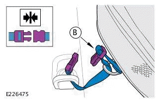 Portable Rinse System