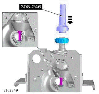 Drive Pinion Seal